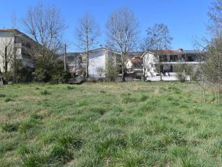 ΑΠΟΨΗ ΟΙΚΟΠΕΔΟΥ