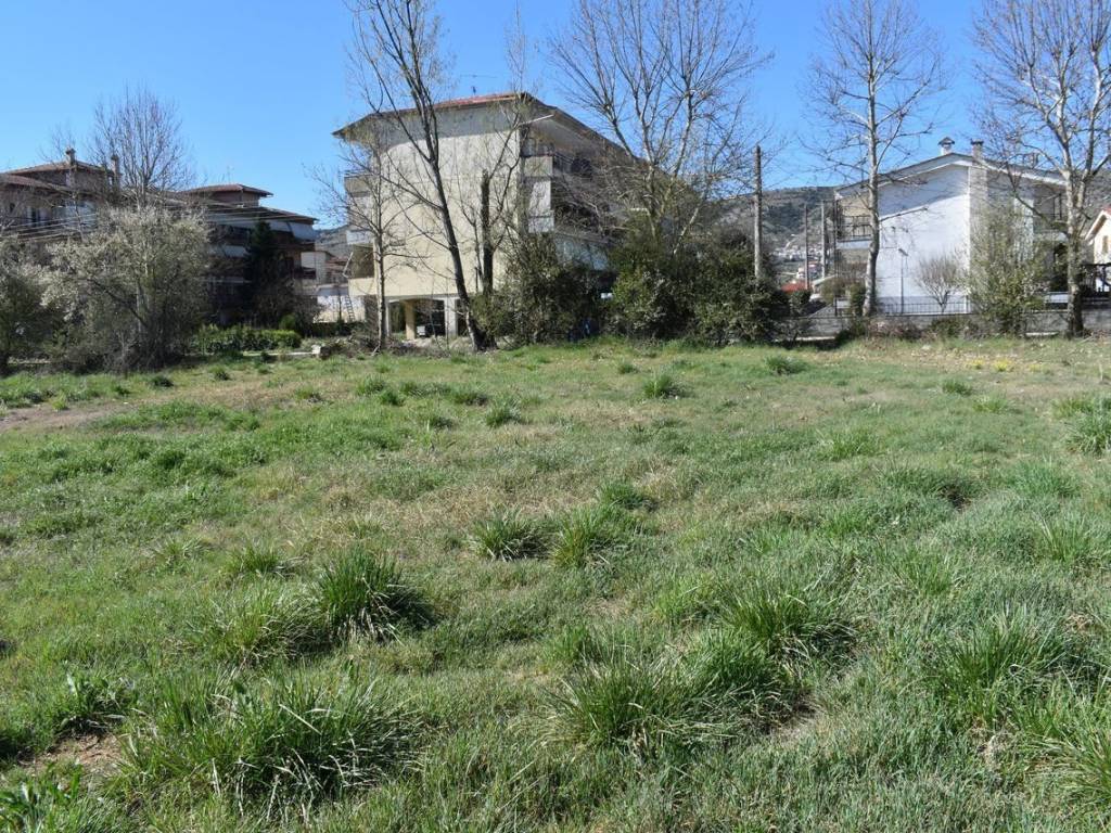 ΑΠΟΨΗ ΟΙΚΟΠΕΔΟΥ