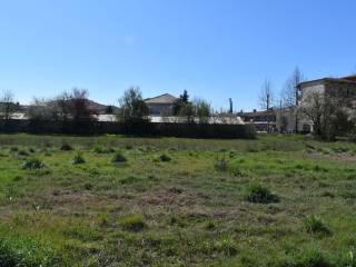 ΑΠΟΨΗ ΟΙΚΟΠΕΔΟΥ