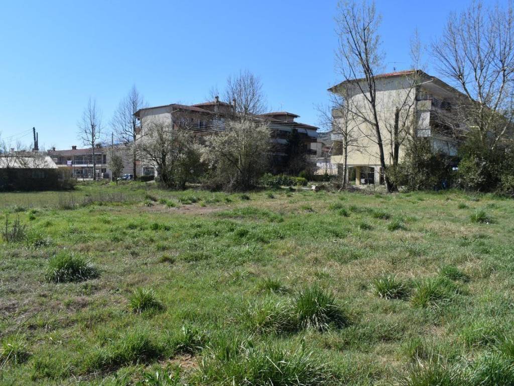 ΑΠΟΨΗ ΟΙΚΟΠΕΔΟΥ