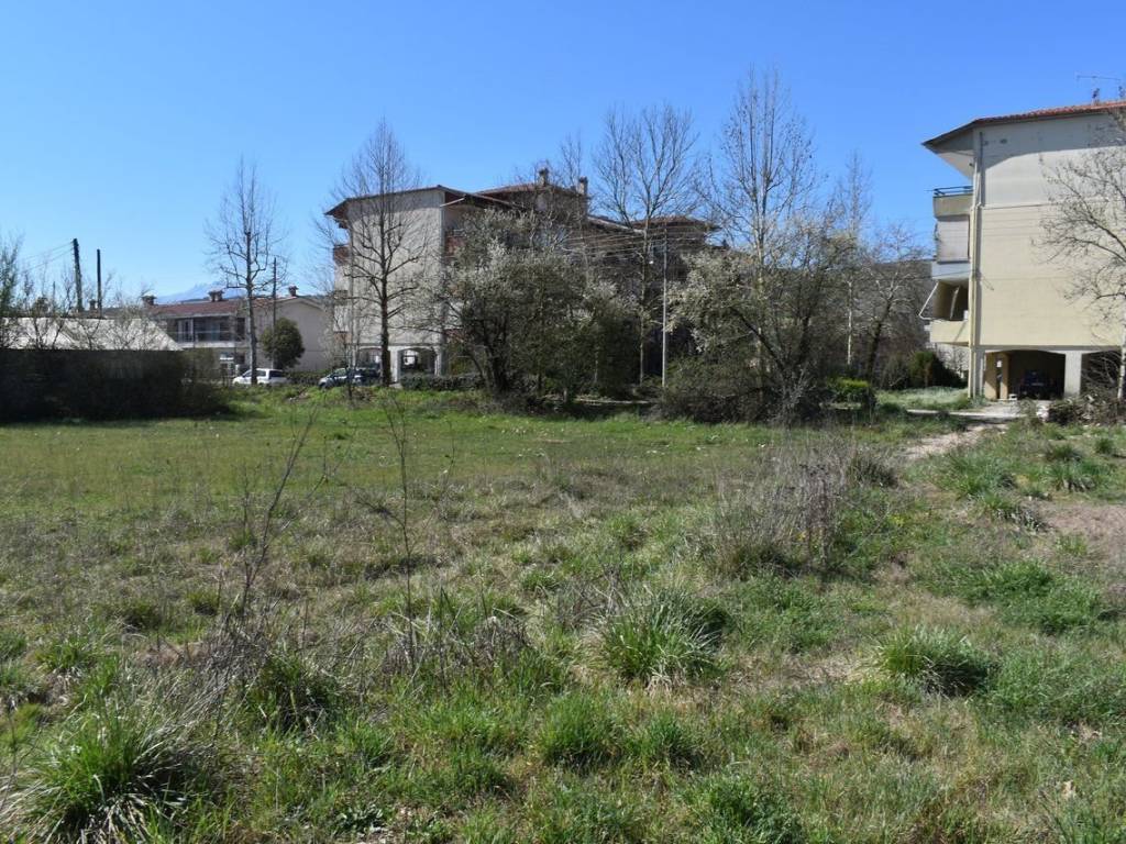 ΑΠΟΨΗ ΟΙΚΟΠΕΔΟΥ