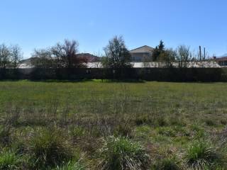 ΑΠΟΨΗ ΟΙΚΟΠΕΔΟΥ