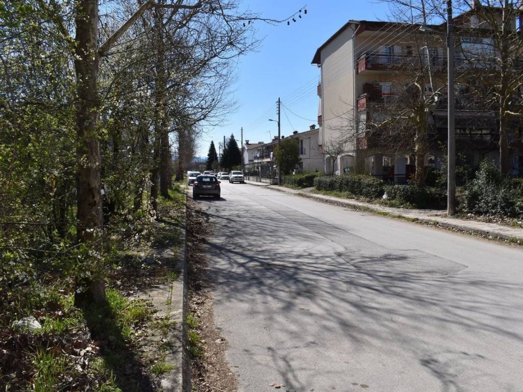 ΑΠΟΨΗ ΟΙΚΟΠΕΔΟΥ