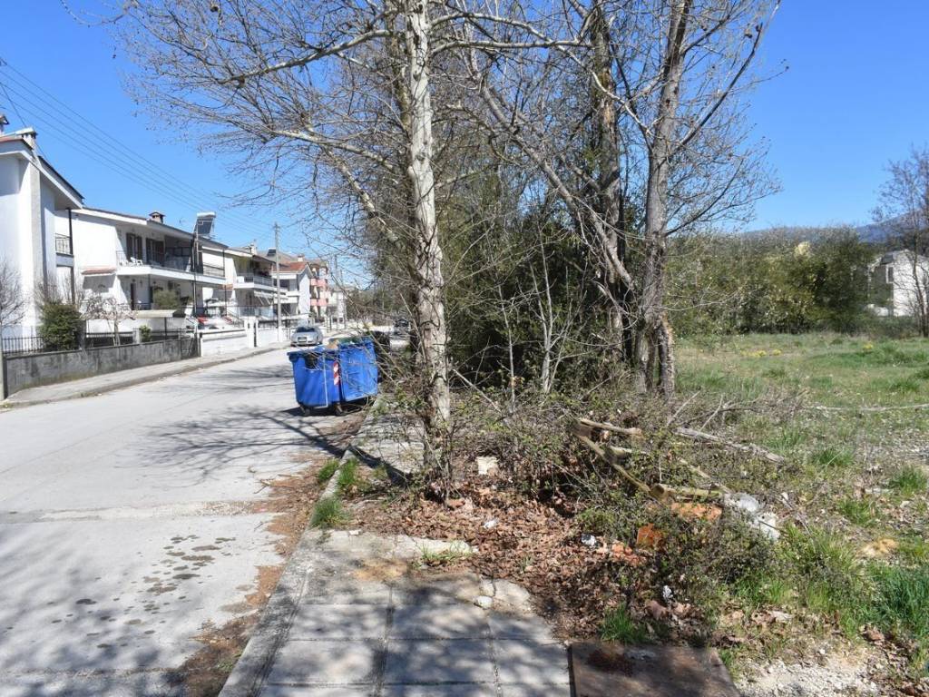 ΑΠΟΨΗ ΟΙΚΟΠΕΔΟΥ