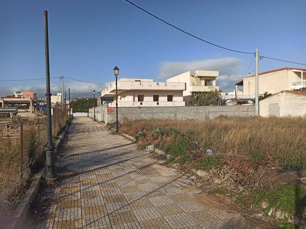 PROSOPSE 12 m. SE DROMO PLATOYS 4 m.