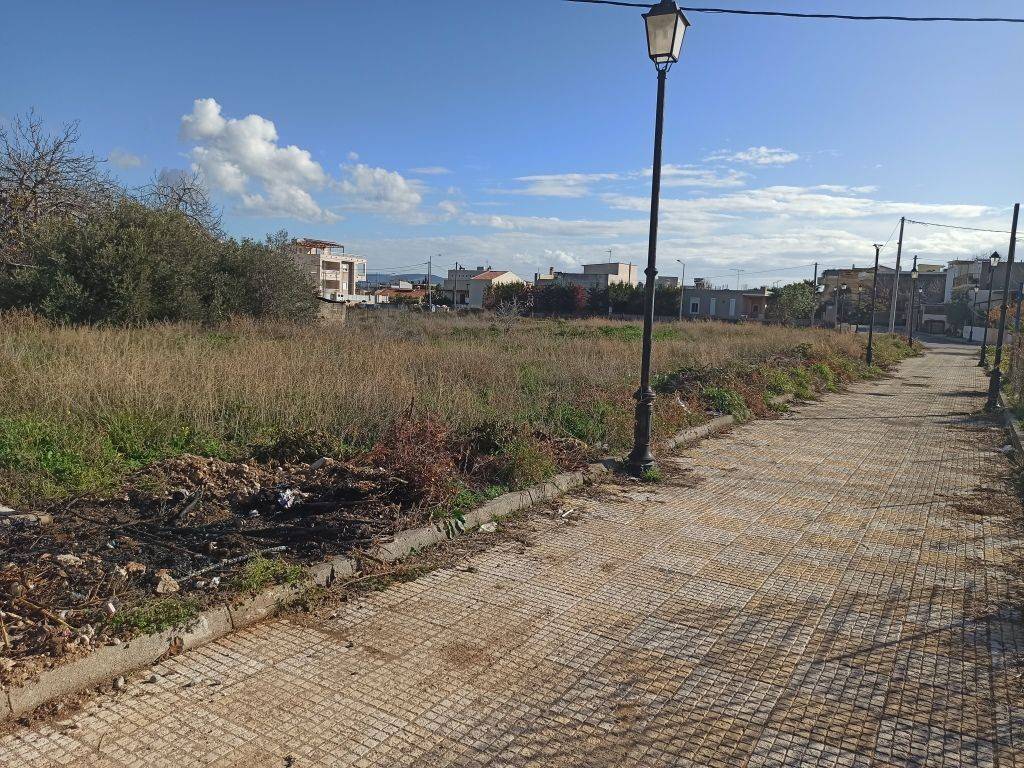 PROSOPSE 12 m. SE DROMO PLATOYS 4 m.