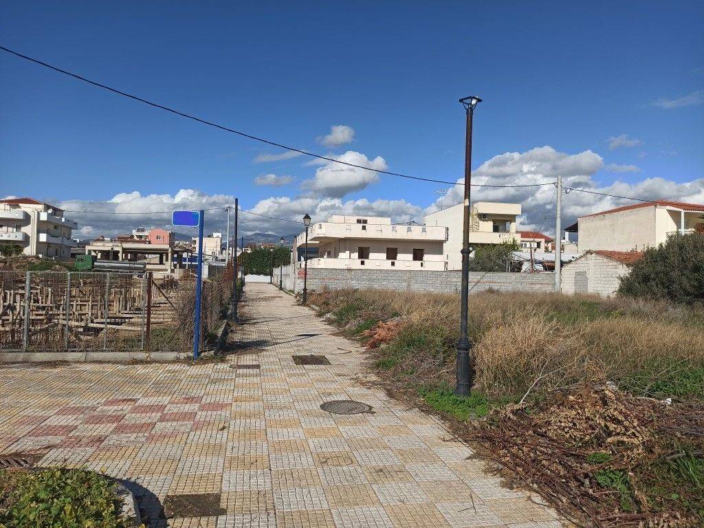 PROSOPSE 12 m. SE DROMO PLATOYS 4 m.