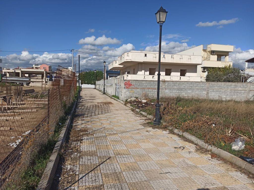 PROSOPSE 12 m. SE DROMO PLATOYS 4 m.