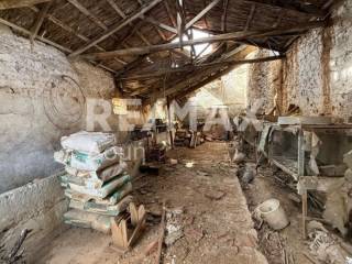 Ύπαρξη ανθρώπου