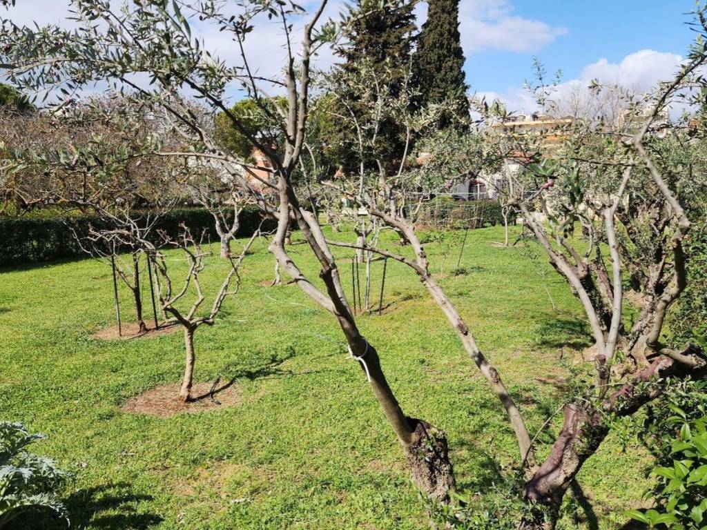 Εξωτερικοι χώροι