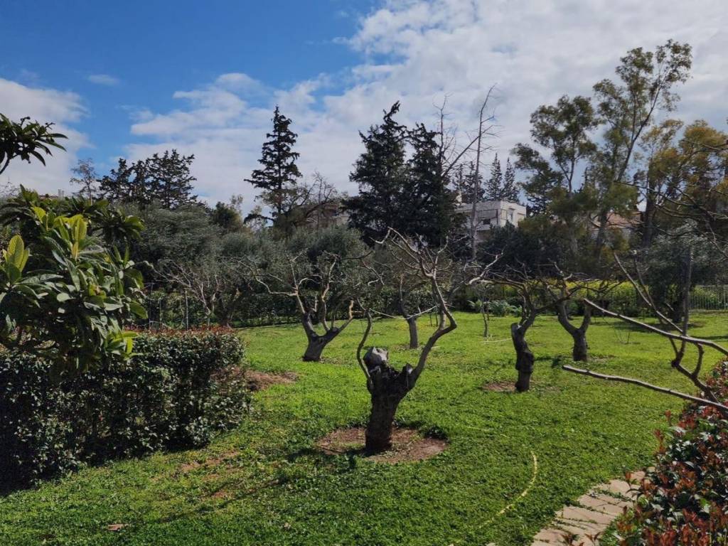 Εξωτερικοι χώροι