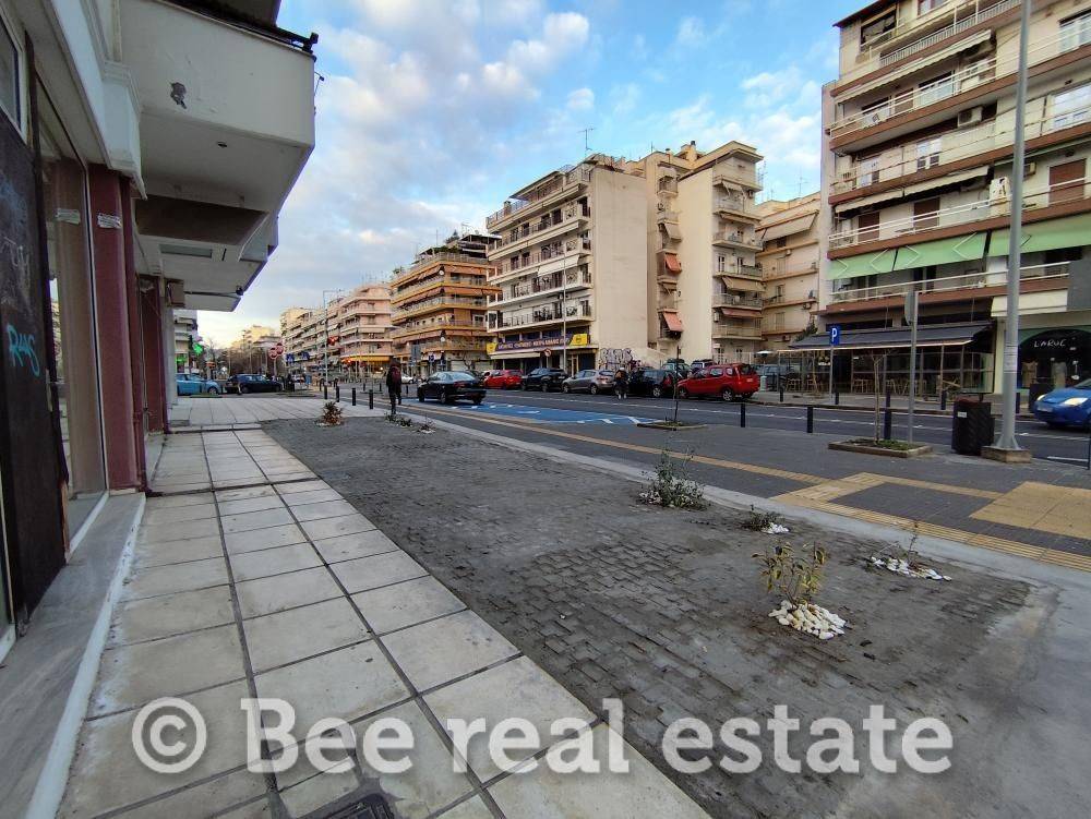 Άποψη εξωτερικού χώρου