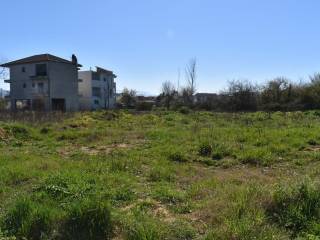 ΑΠΟΨΗ ΟΙΚΟΠΕΔΟΥ