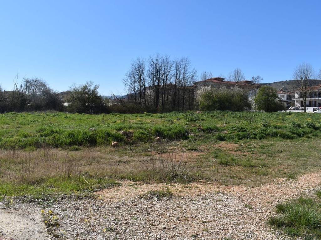 ΑΠΟΨΗ ΟΙΚΟΠΕΔΟΥ