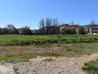 ΑΠΟΨΗ ΟΙΚΟΠΕΔΟΥ