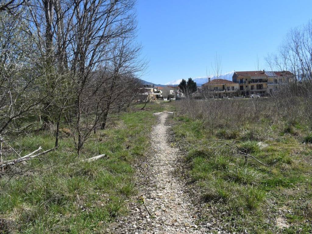 ΑΠΟΨΗ ΟΙΚΟΠΕΔΟΥ