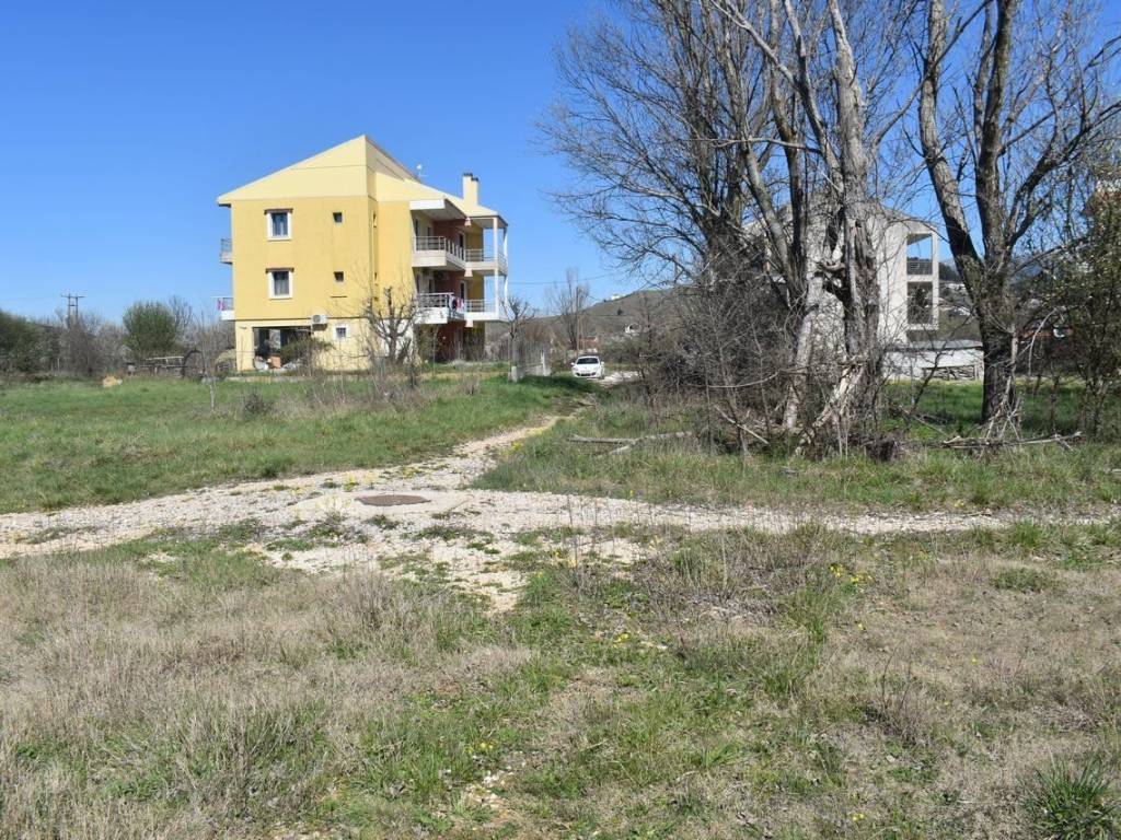 ΑΠΟΨΗ ΟΙΚΟΠΕΔΟΥ