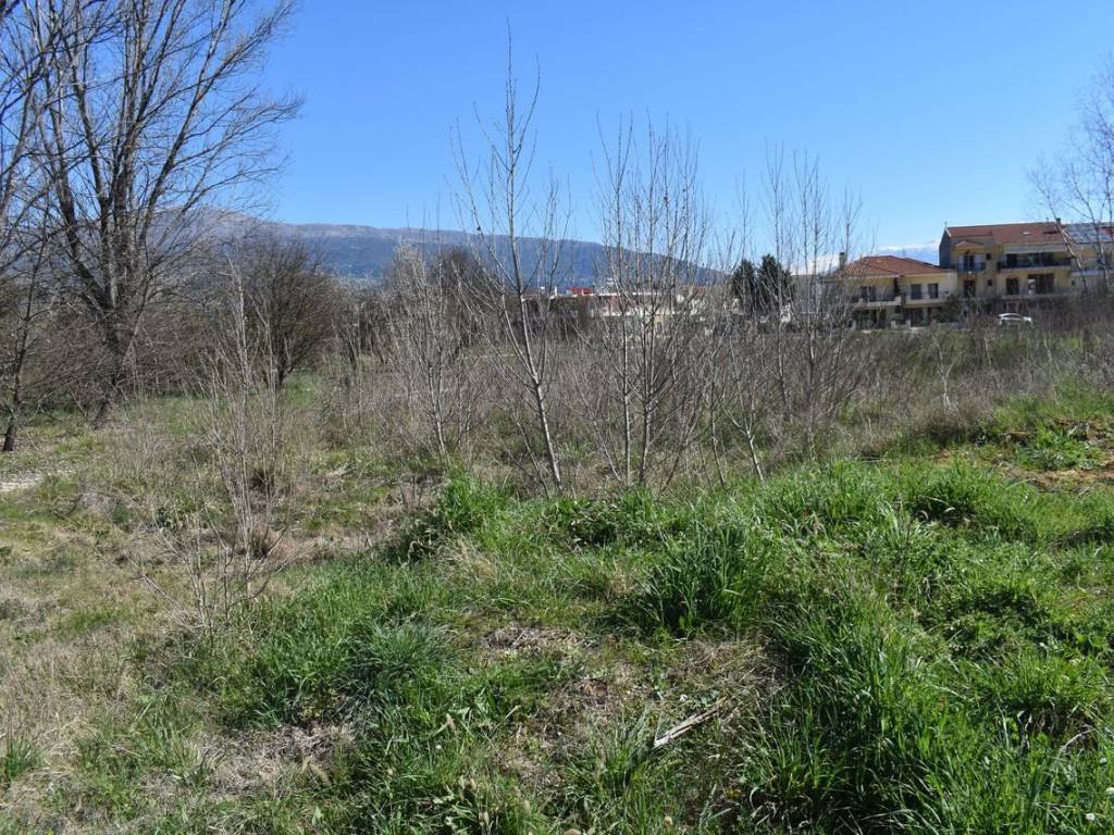 ΑΠΟΨΗ ΟΙΚΟΠΕΔΟΥ