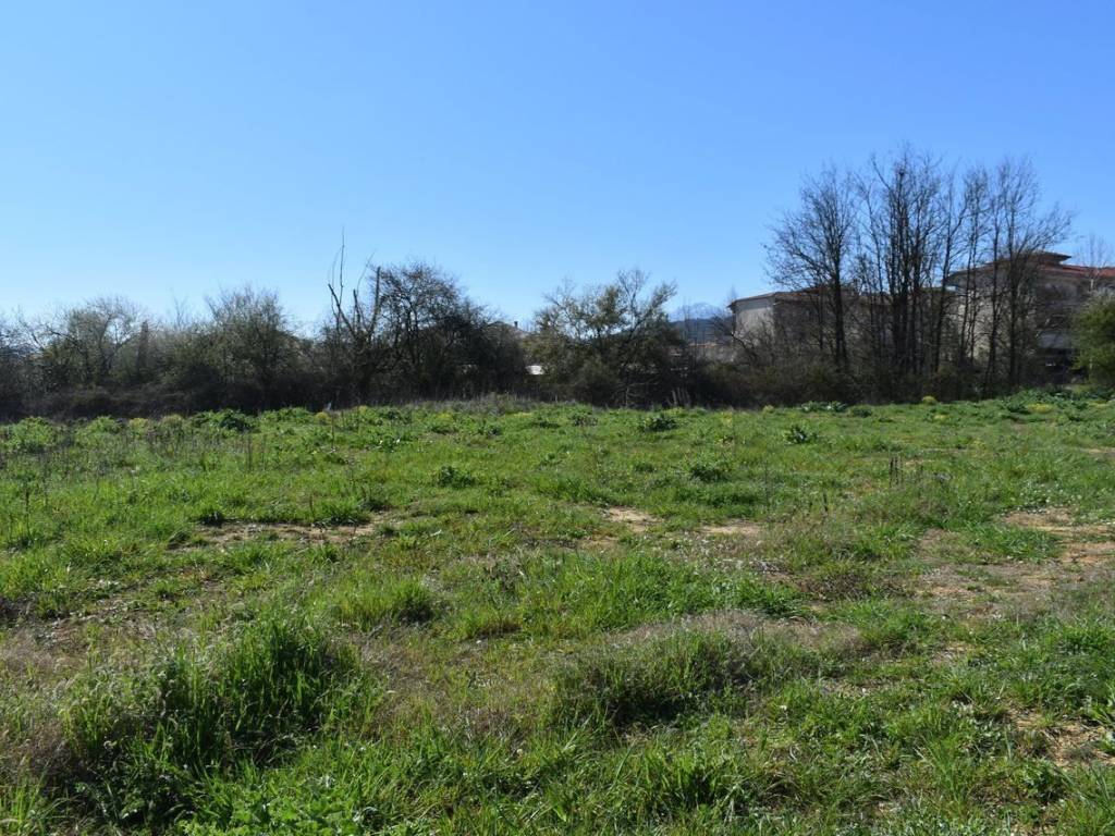 ΑΠΟΨΗ ΟΙΚΟΠΕΔΟΥ