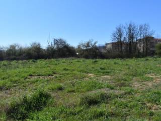 ΑΠΟΨΗ ΟΙΚΟΠΕΔΟΥ