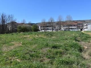 ΑΠΟΨΗ ΟΙΚΟΠΕΔΟΥ