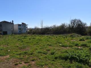 ΑΠΟΨΗ ΟΙΚΟΠΕΔΟΥ