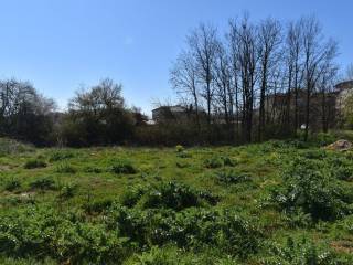 ΑΠΟΨΗ ΟΙΚΟΠΕΔΟΥ