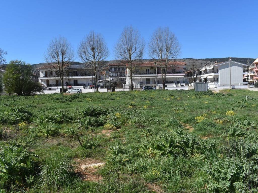 ΑΠΟΨΗ ΟΙΚΟΠΕΔΟΥ