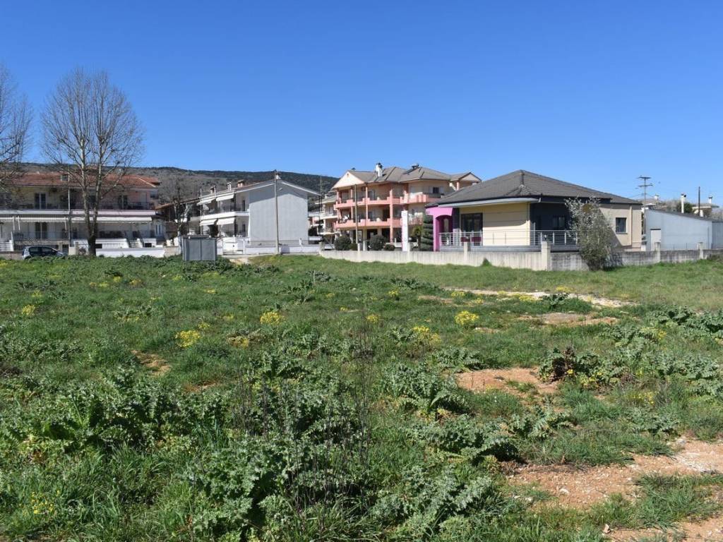 ΑΠΟΨΗ ΟΙΚΟΠΕΔΟΥ