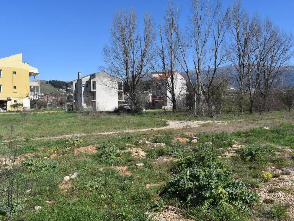 ΑΠΟΨΗ ΟΙΚΟΠΕΔΟΥ