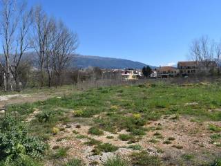 ΑΠΟΨΗ ΟΙΚΟΠΕΔΟΥ