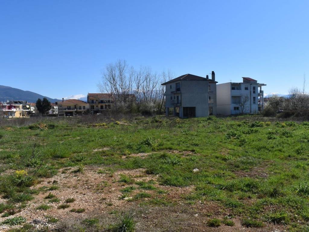 ΑΠΟΨΗ ΟΙΚΟΠΕΔΟΥ