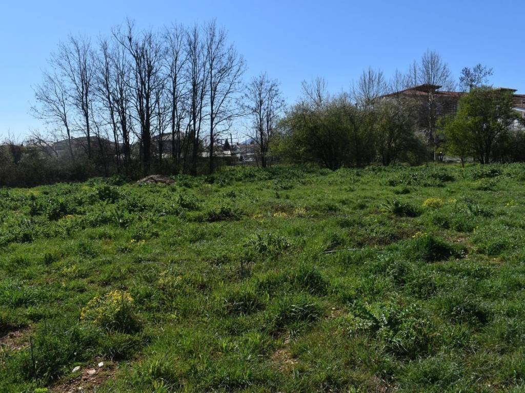 ΑΠΟΨΗ ΟΙΚΟΠΕΔΟΥ