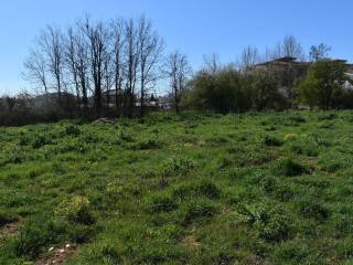 ΑΠΟΨΗ ΟΙΚΟΠΕΔΟΥ