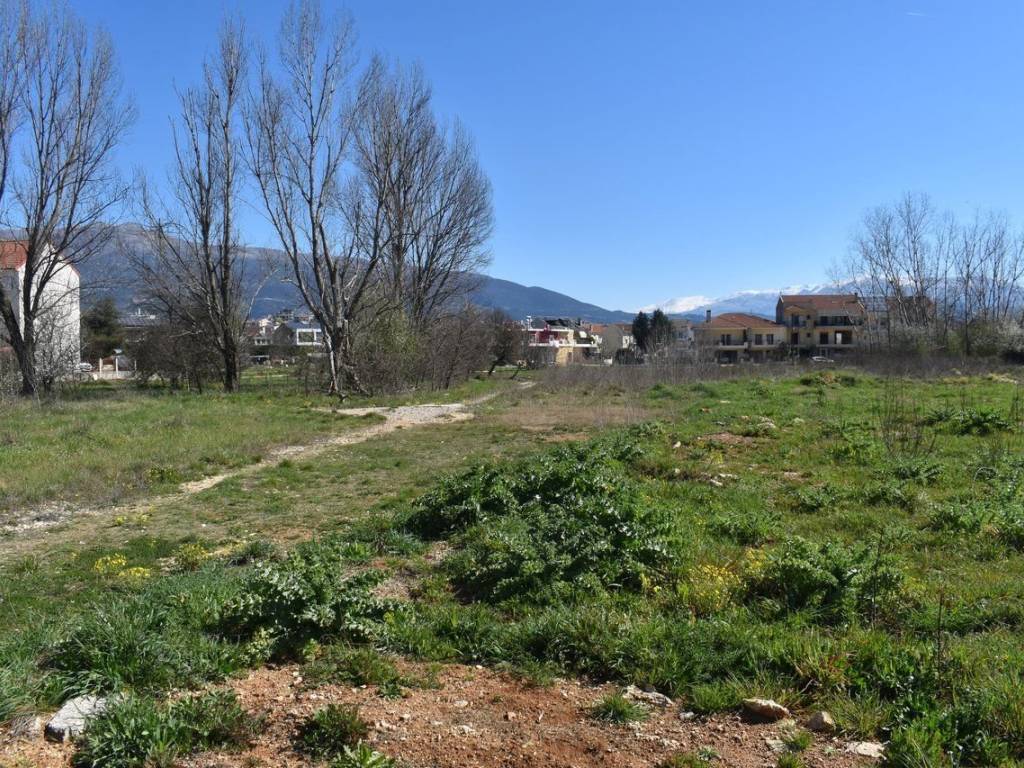 ΑΠΟΨΗ ΟΙΚΟΠΕΔΟΥ