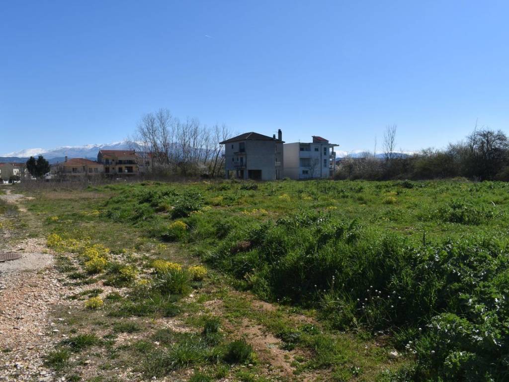 ΑΠΟΨΗ ΟΙΚΟΠΕΔΟΥ