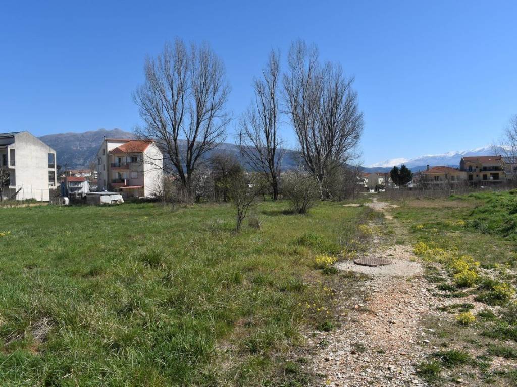 ΑΠΟΨΗ ΟΙΚΟΠΕΔΟΥ