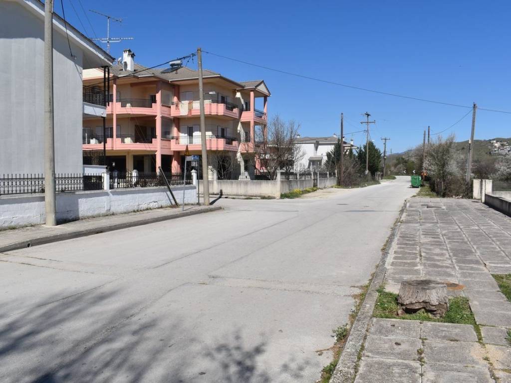 ΑΠΟΨΗ ΟΙΚΟΠΕΔΟΥ