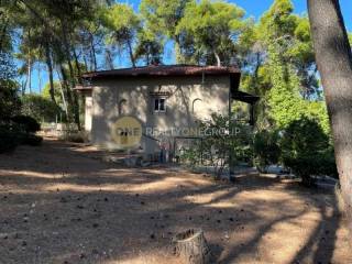 Ύπαρξη ανθρώπου