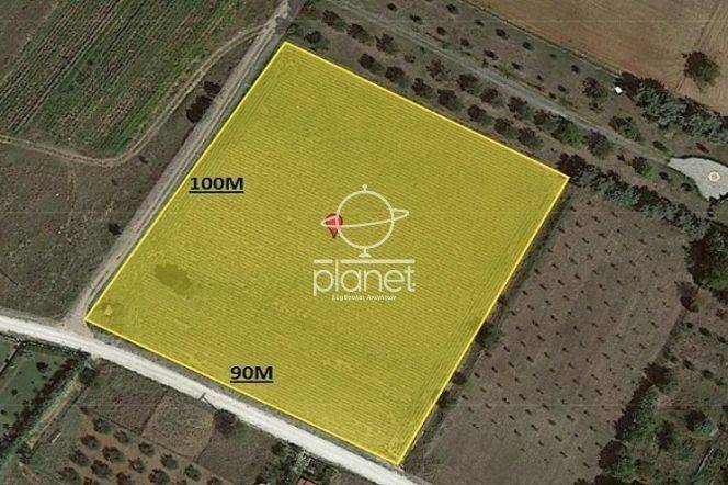 πανοραμικη