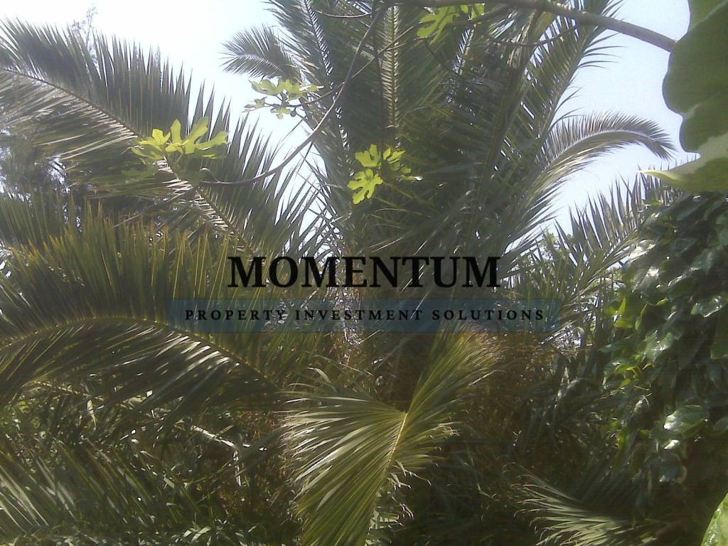 Εξωτερικοι χώροι