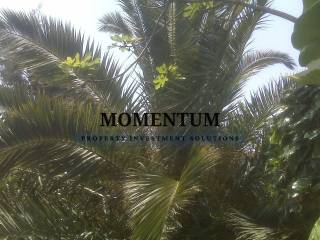 Εξωτερικοι χώροι