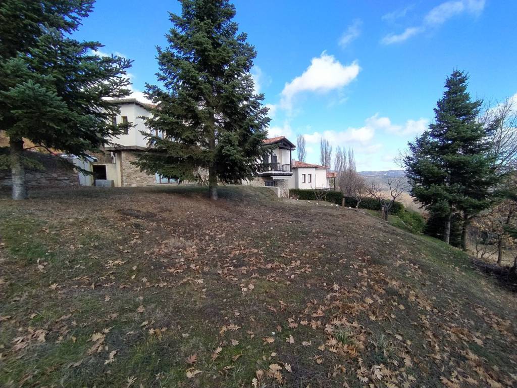 ANYPLACE MESITIKES YPERESIES