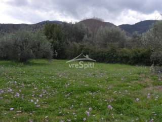 ΑΠΟΨΗ ΟΙΚΟΠΕΔΟΥ