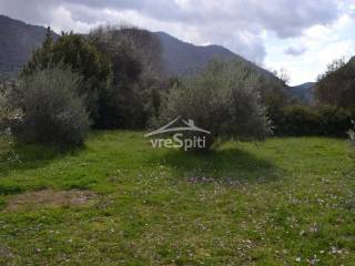 ΑΠΟΨΗ ΟΙΚΟΠΕΔΟΥ