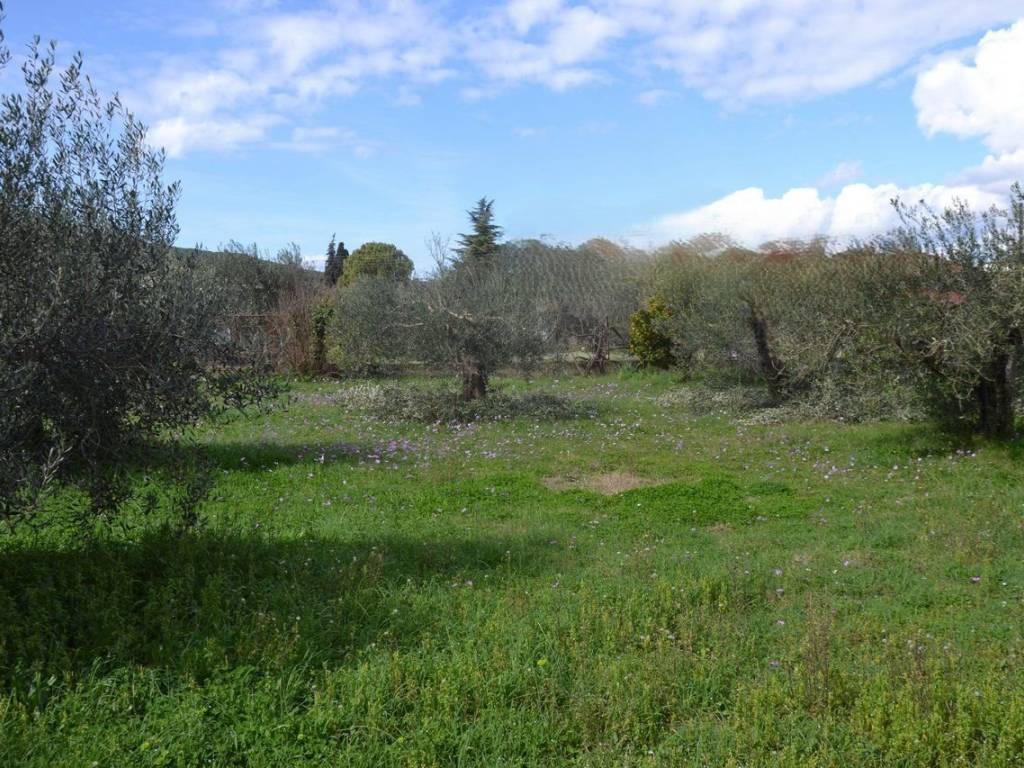 ΑΠΟΨΗ ΟΙΚΟΠΕΔΟΥ