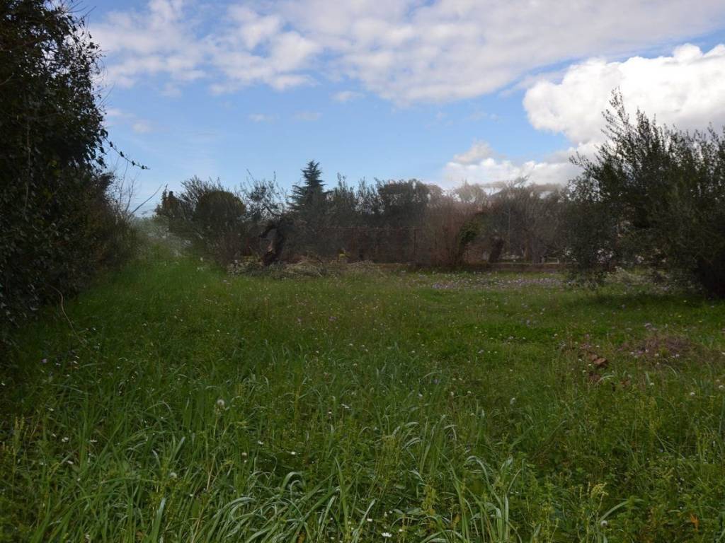 ΑΠΟΨΗ ΟΙΚΟΠΕΔΟΥ