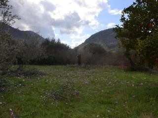 ΑΠΟΨΗ ΟΙΚΟΠΕΔΟΥ