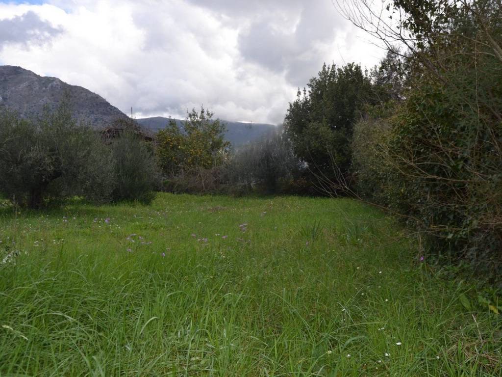 ΑΠΟΨΗ ΟΙΚΟΠΕΔΟΥ