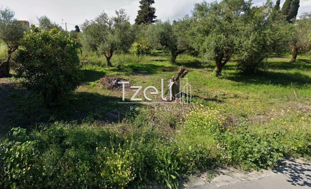 Άποψη οικοπέδου